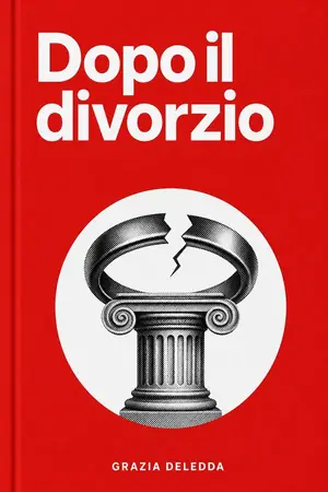 Cover of Dopo il divorzio